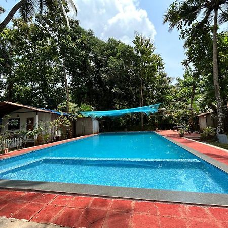 King Villa Goa Palolem Zewnętrze zdjęcie